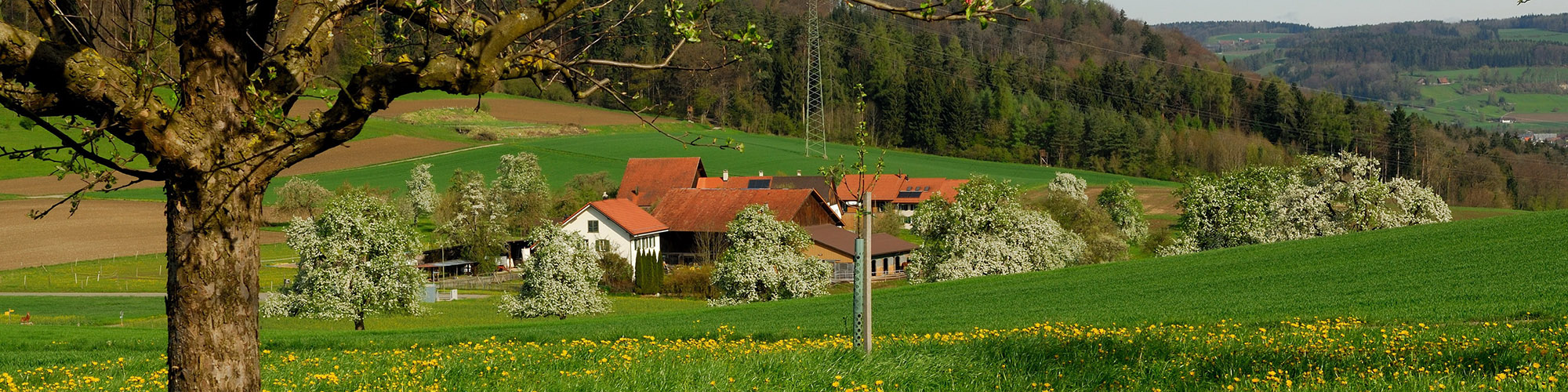 Kleine und grosse Städte