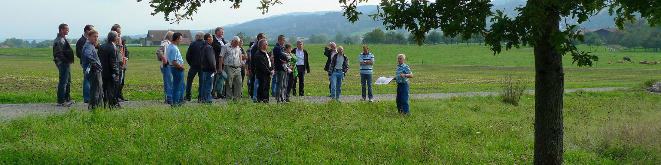 GRÜNSTADT SCHWEIZ – Wissen