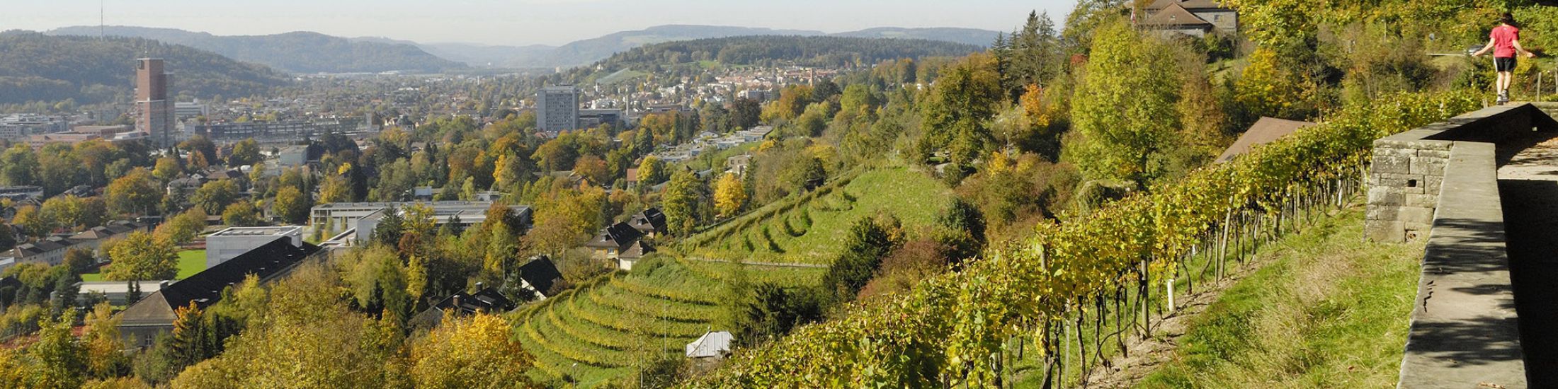 GRÜNSTADT SCHWEIZ – urbanes Grün ist unbezahlbar